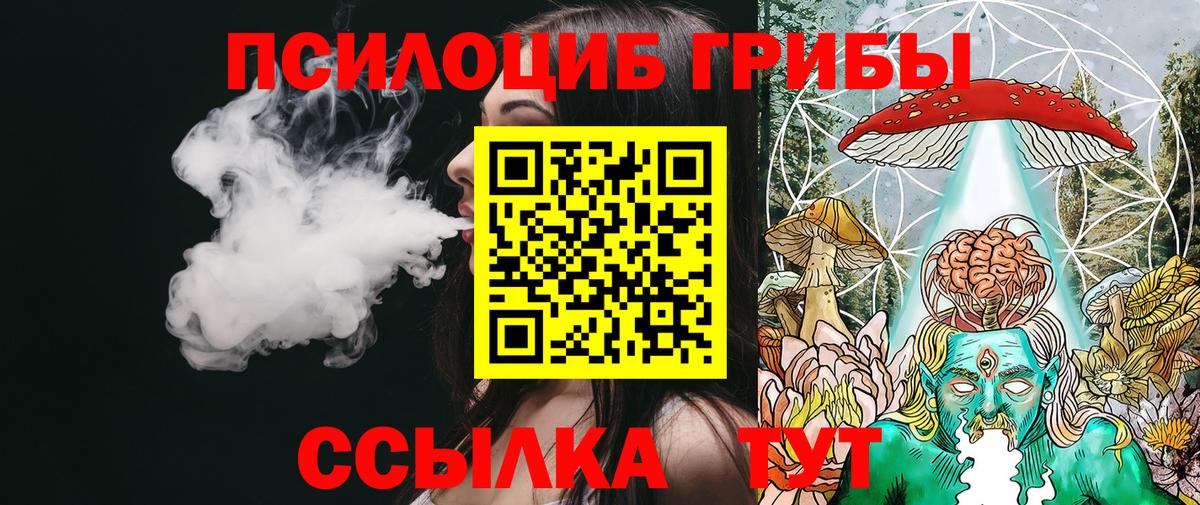 Псилоцибиновые грибы Psilocybe Тимашёвск