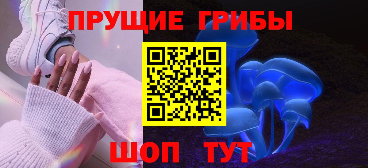 Тимашёвск  Псилоцибиновые грибы мухоморы  Псилоцибиновые грибы мицелий  продажа наркотиков  Вход с VPN 